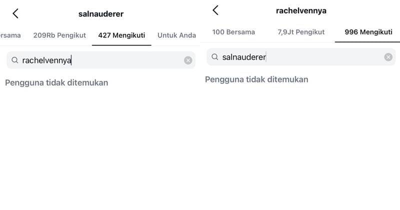 Instagram.com/salnauderer | Instagram.com/rachelvennya